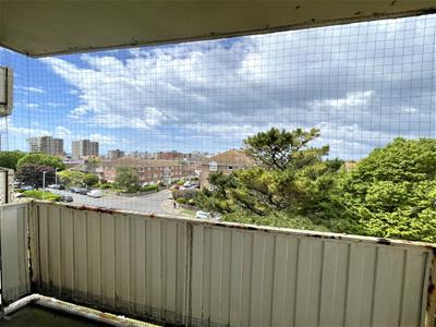 Picture 8